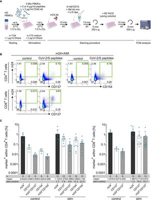 Staining of activated ß2-integrins in combination with CD137 and CD154 for sensitive identification of functional antigen-specific CD4+ and CD8+ T cells